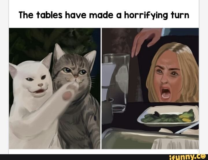 Орут на кота