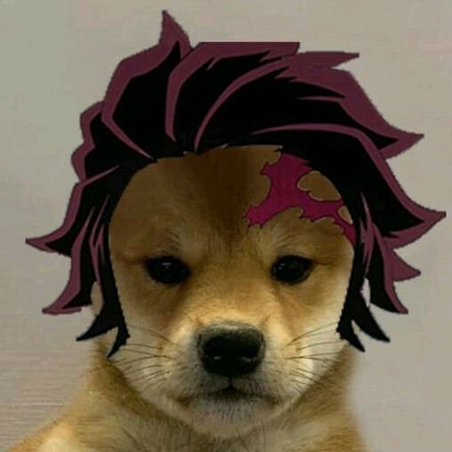 Собака гуль