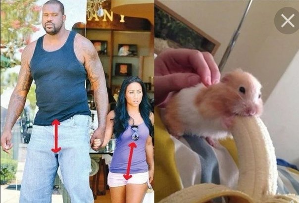 Хомячок и огромный банан