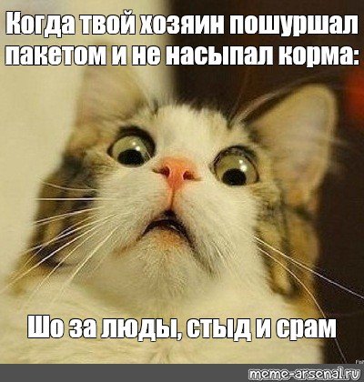 Я твой хозяин