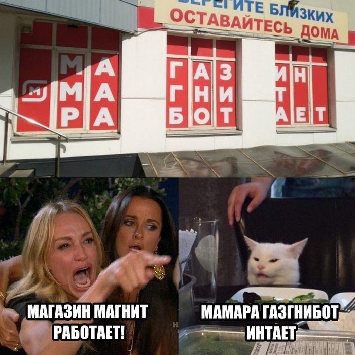 Мем женщина и кот