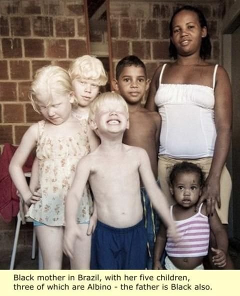 Дети рожденные от азиата и негра
