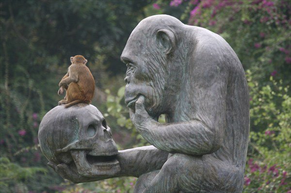 Скульптура обезьянки