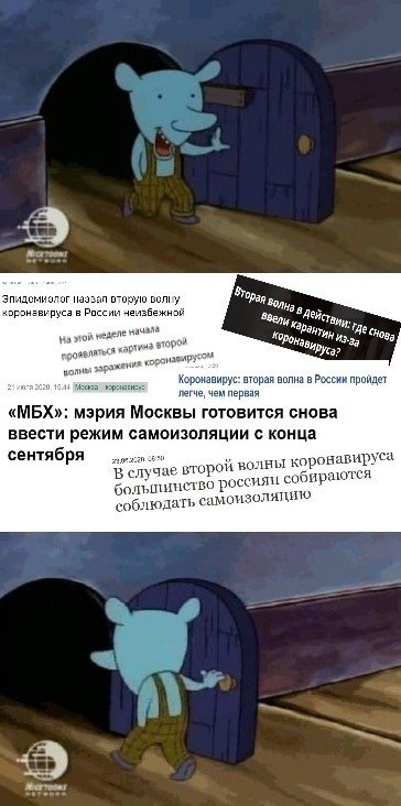 Винслоу Котопес