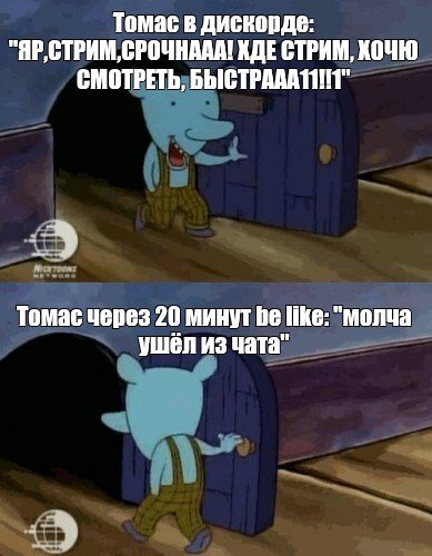 Уинслоу котопес