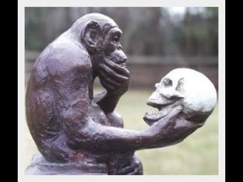 Обезьяна с черепом в руке