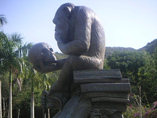 Памятник шимпанзе философский