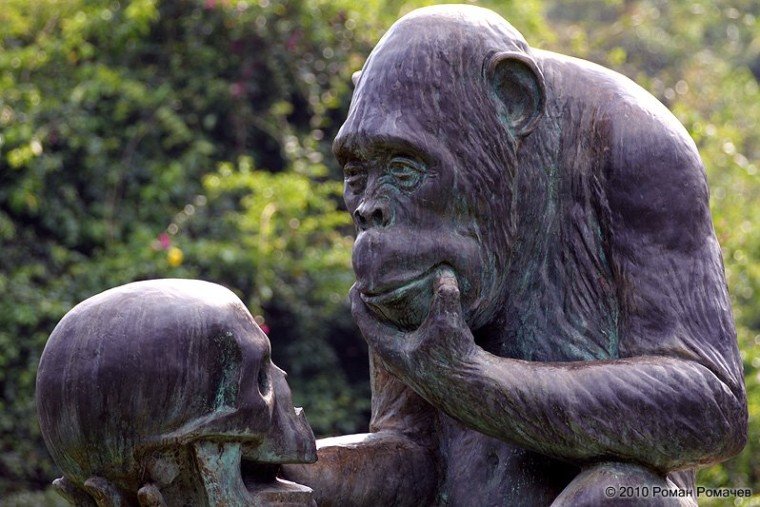 Статуя обезьяны