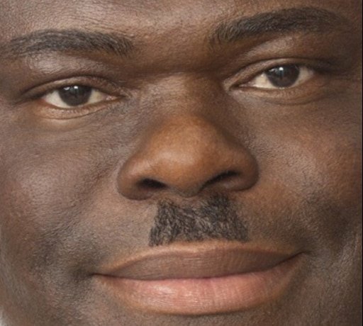 Адольф нигер