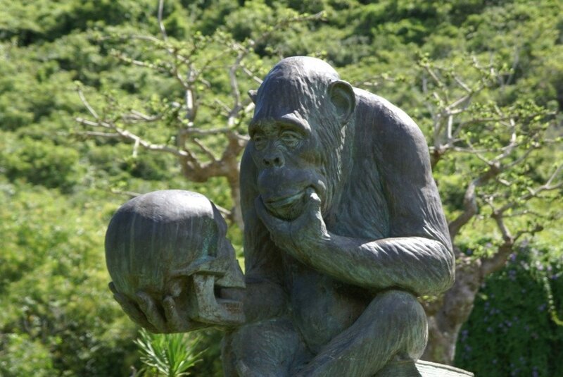 Обезьяна Родена мыслитель