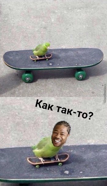 Смешной скейт