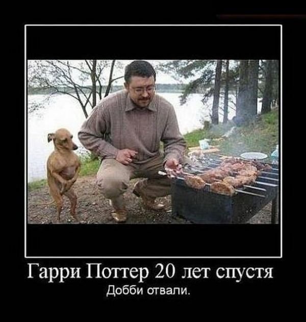 Шашлык юмор