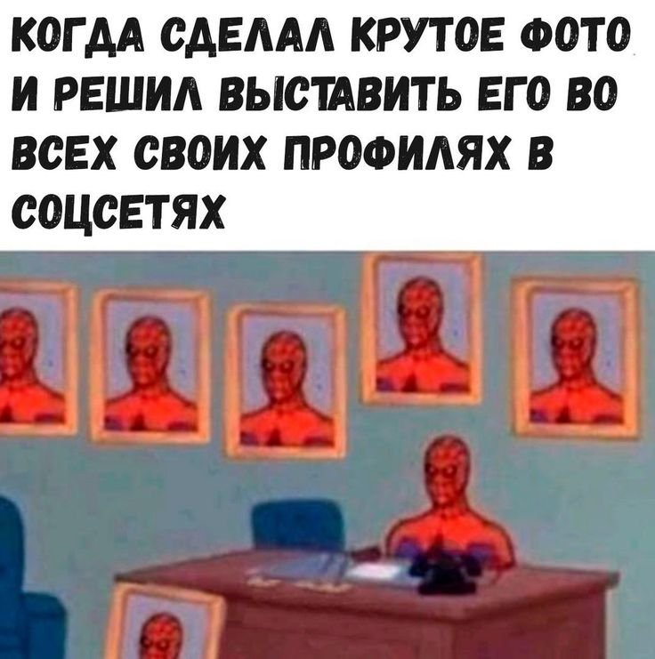 Что такое мемы в социальных сетях