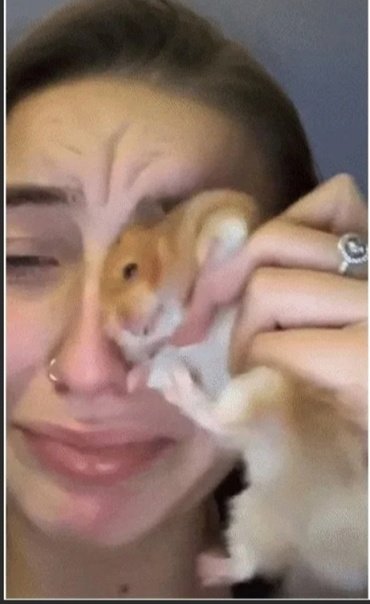 Девушка и хомяк