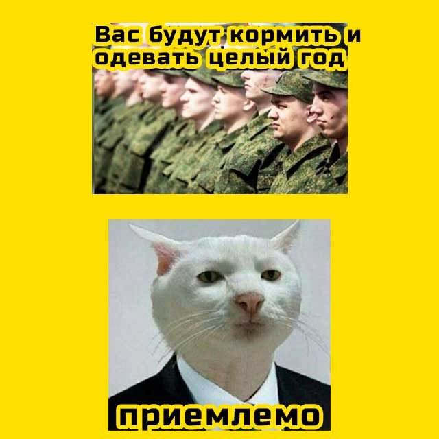 Приемлемо Мем