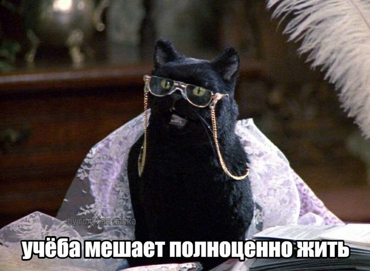 Сэйлем Сэйберхеген