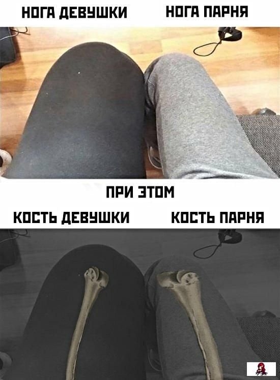 Приколы картинки с надписями