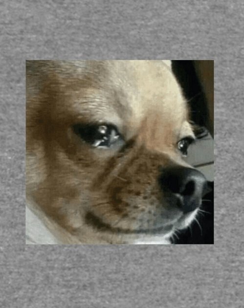 Собака кричит