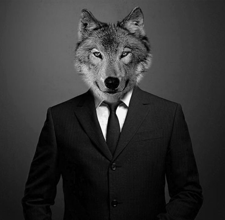Волк в пиджаке