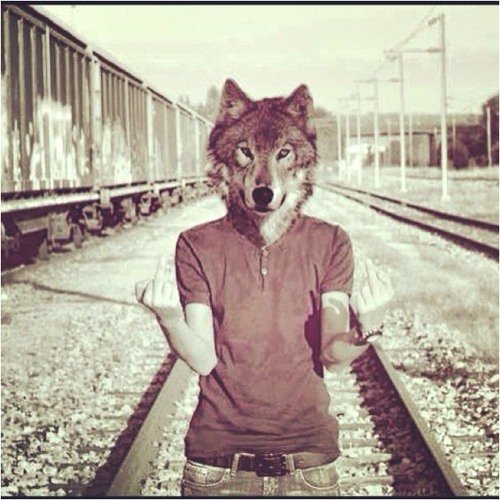 Человек в маске волка