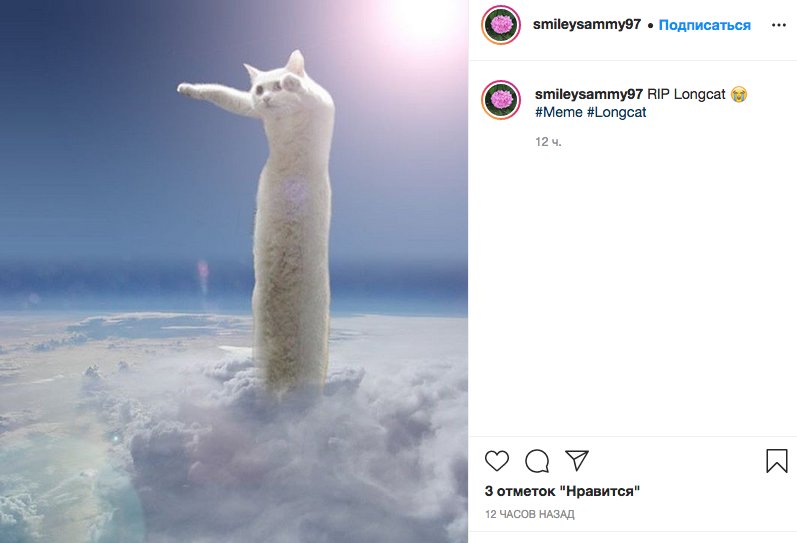 Длиннокот Мем