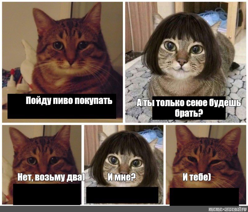 Кот Мем
