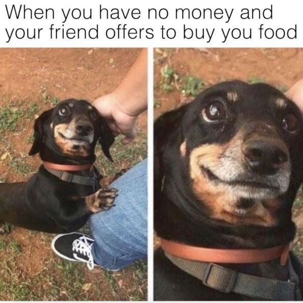 Прости что я такой тупой сапожок