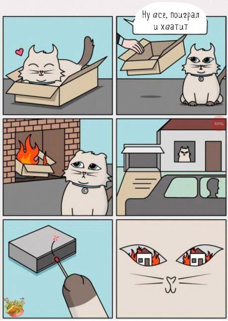 Смешные мемы с котом