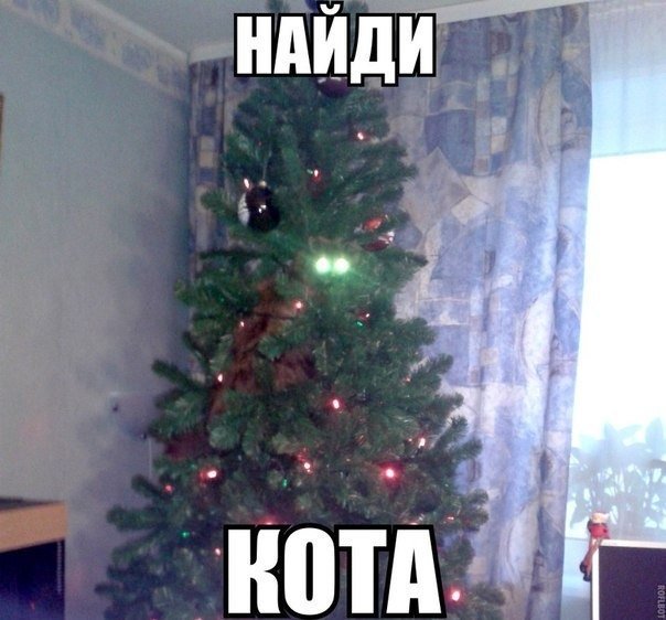 Елка прикол