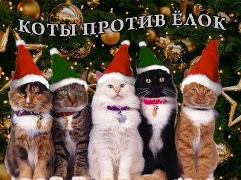 Про котов и новый год