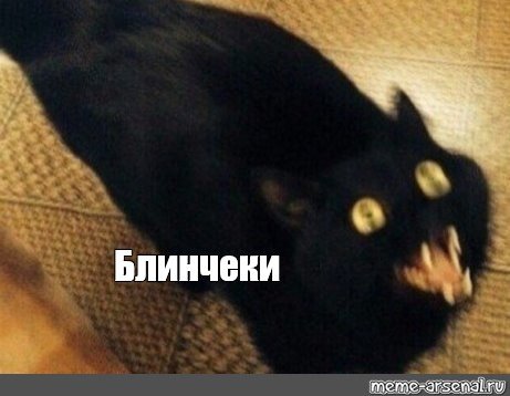 Черная кошка Мем