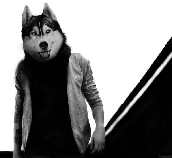 Человек с головой волка