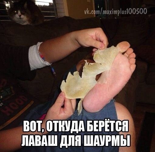 Мемы про шаурму