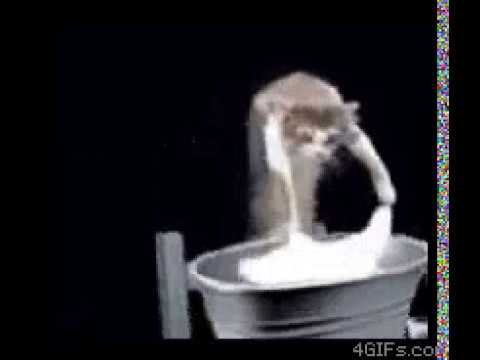 Гифки стирка