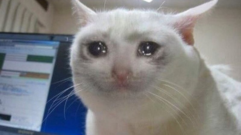 Котик со слезами