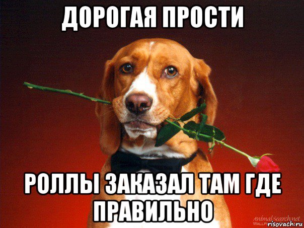 Прости дорогая