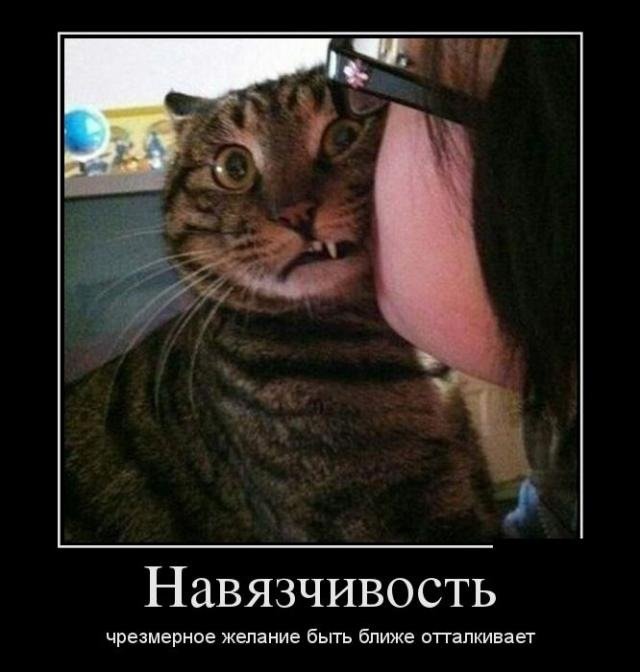 Мем навязчивый