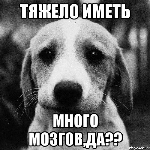 Надпись собака