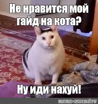 Кот мя Мем