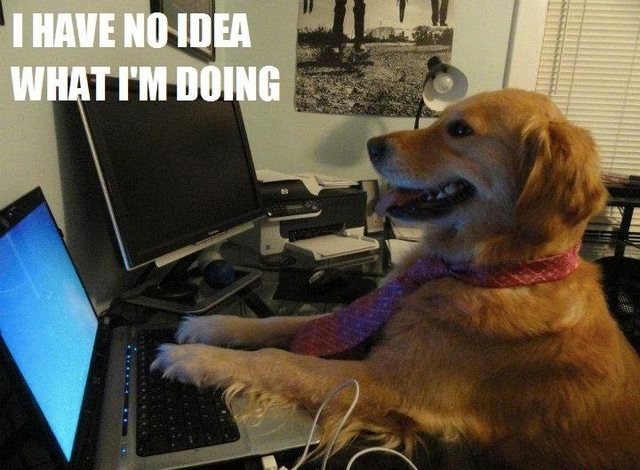 Собака программист