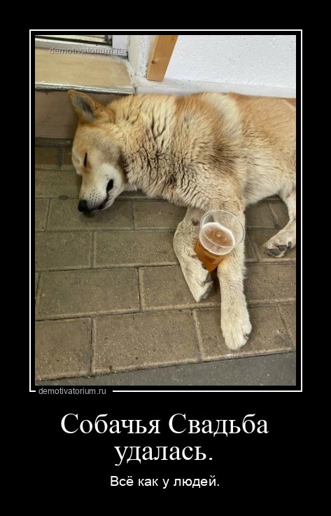 Простите люди добрые