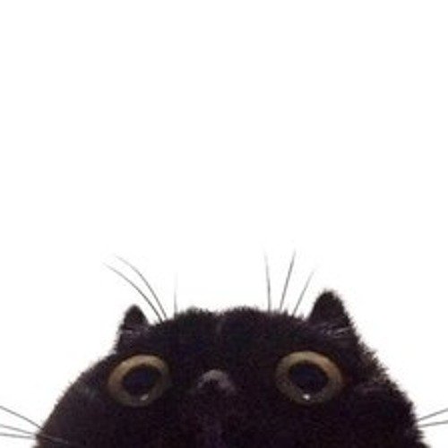 Котик выглядывает