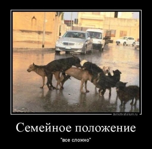 Семейное положение все сложно Мем
