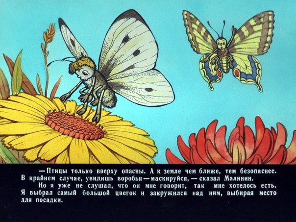 Баранкин будь человеком 1963