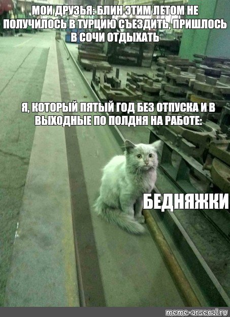 Грязный кот на заводе