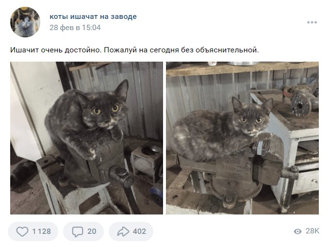 Кот на заводе Мем