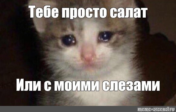 Котик со слезами