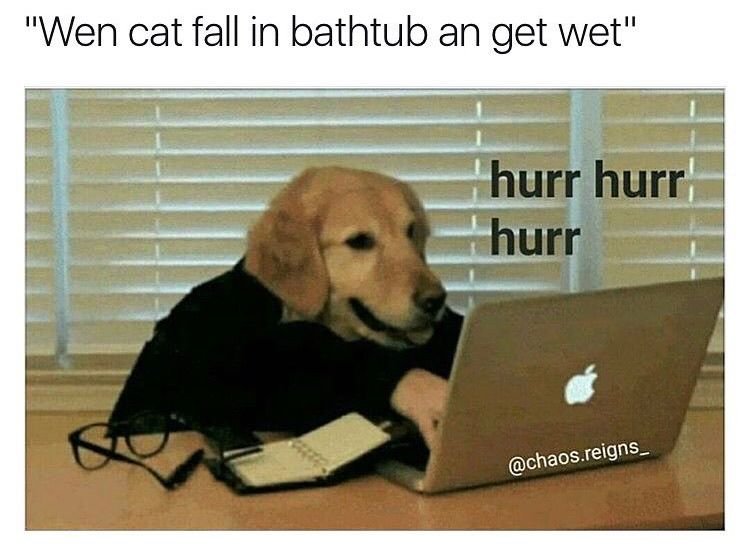 Животные и компьютер