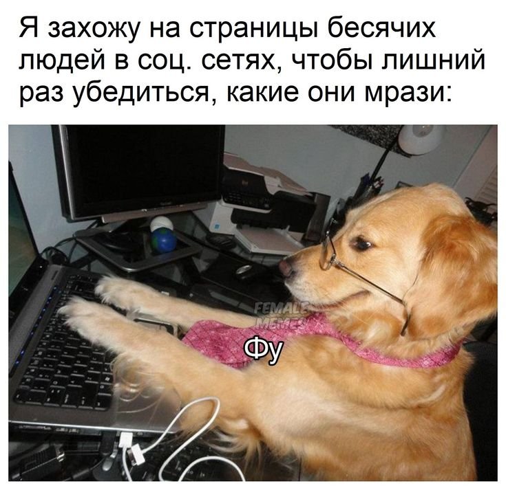 Собака хакер