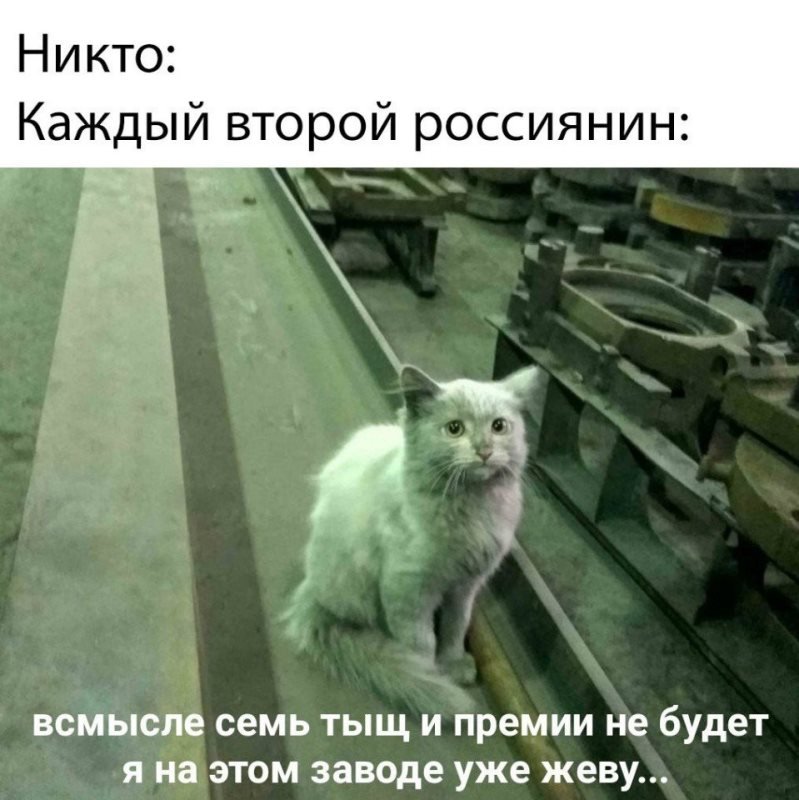 Кот на заводе Мем